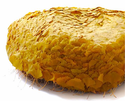 ���������y��ɳ�l