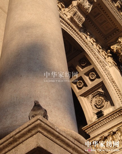 寶縵首屆“夢想▪成長”主題攝影大賽感動落幕