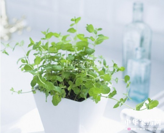 ���_�m���������C����