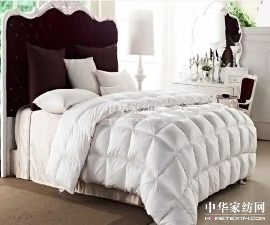 紫羅蘭:解析幾款常見(jiàn)冬被