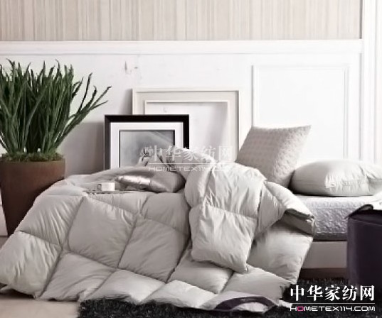 紫羅蘭:解析幾款常見(jiàn)冬被