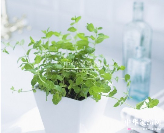 ���_�mС�Nʿ  ���ȥ���҃�(n��i)�^��Դ