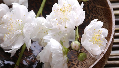 �с�����о��ζ������ô������