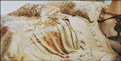 �Ҽ�ᘾ����@��Ŗ|�����C�ûʼҼ�