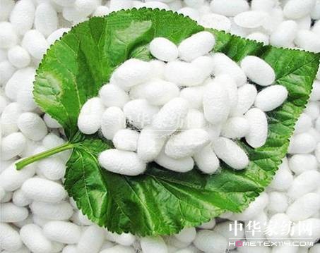 �Q�z���Z(y��)���_�m�Ҽ������V�f(shu��)