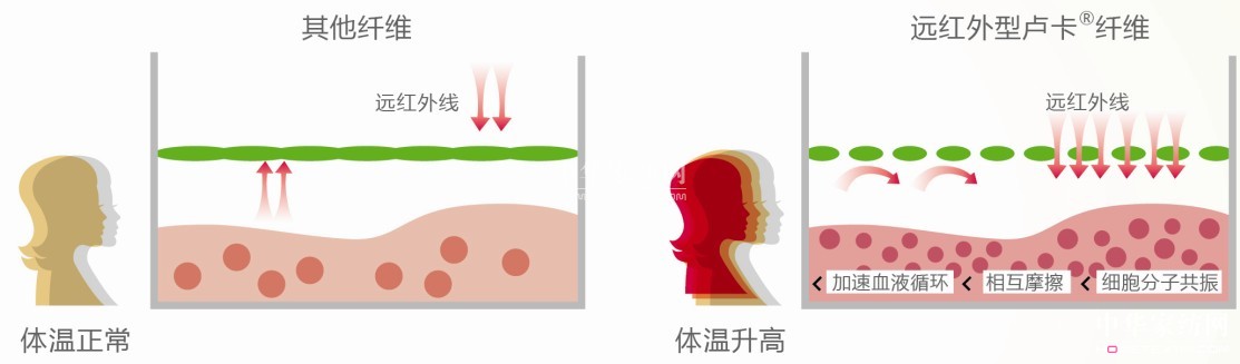 �{(l��n)Ʒ��ů��о���Ƽ����x������Ʒ��څ��(sh��)