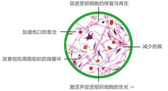 藍(lán)品纖維科技:掀起床品抗菌新時尚