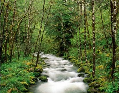 3D家紡給家帶來全新視覺沖擊