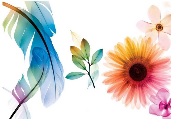 家紡企業(yè)如何從