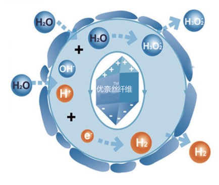 �{Ʒ�Ƽ����νz��Ů�ԼҼ����o����