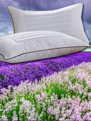 ޹�²����^����Щ��Ч��