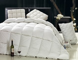 2014���Ї���q�Ј���ӑ�����F�����_