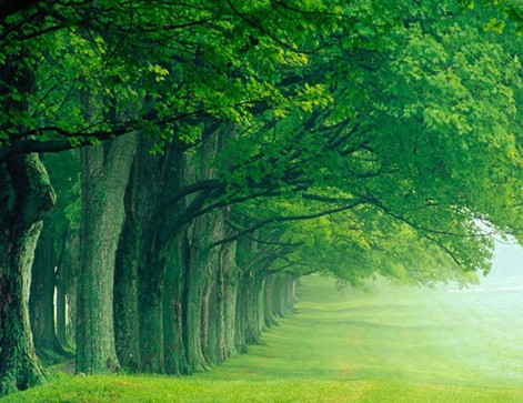 �W�ɼҼ������켃��˯���r��