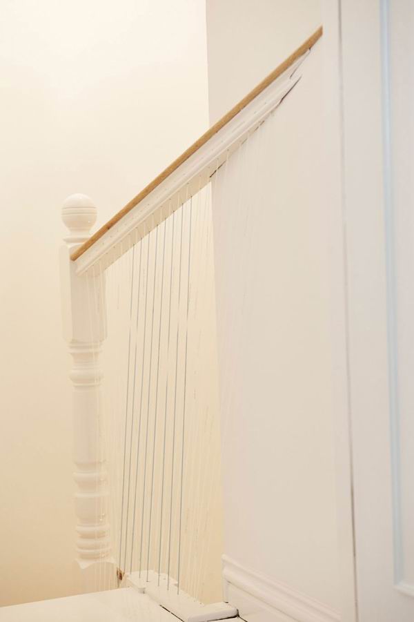 ���ЬF(xi��n)���ŵ������������ݣ�2��