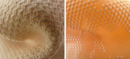 2015�����Ї����H���������o��չ