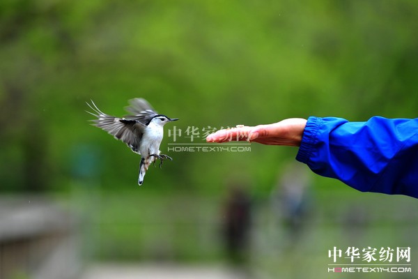 ��(d��o)ُ��Ϋ@��͵����θ���