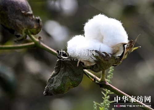 �Ҽ����R��������Ʒ�����c