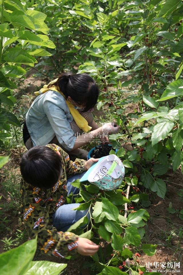 ���ýz�I��ɣ�ز�ժ��(ji��)�A�M��Ļ