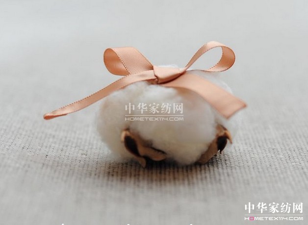 �����lչ�������Ĵ�ԭ������