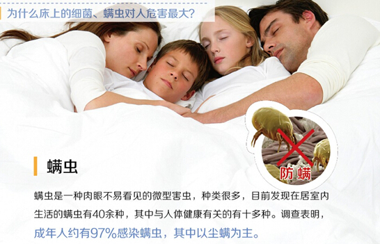 �O�ȝ������͐ۛ]�����x�ı���