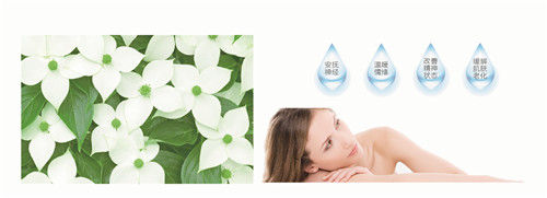 �{�׷���R���w�S������(qu��n)���z�y����ȫ�ɿ�