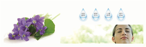 �{�׷���R���w�S������(qu��n)���z�y����ȫ�ɿ�