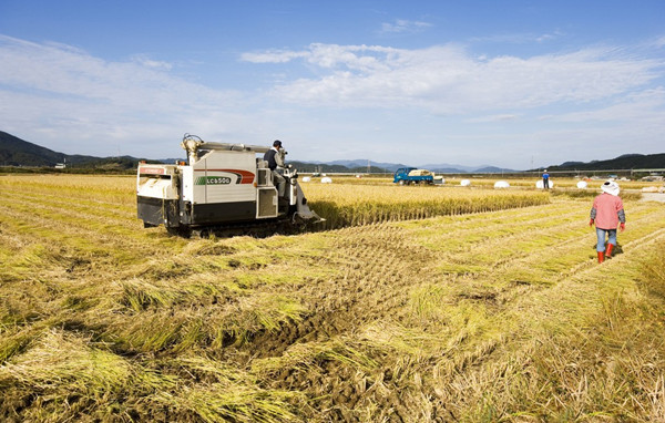 ���|���l(xi��ng)�ӵؚ� �l(f��)չ�r(n��ng)���Ј�(ch��ng)