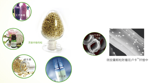 �{Ʒ�Ƽ���õ�巼���w�S����������c�Ҽ����x