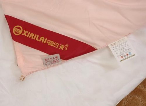 5�·��Ԍ���؈�Ҽ��N��ǰʮ�� ϲ�Ձ�(l��i)�Ҽ�����W(w��ng)ُ(g��u)����