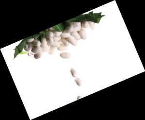 �Q�z���q�r������]�ך���