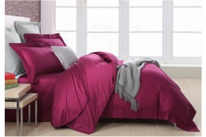 �Ҽ�ץס���^����׌��͎���