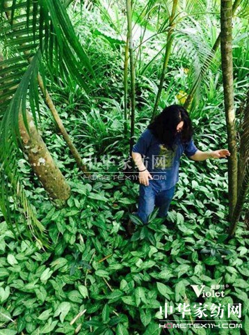 20年家紡品牌紫羅蘭,詮釋人性、健康與時尚