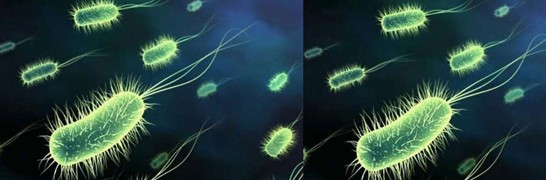 ���_�m�Ҽ�������˯�ߣ�����˯��������