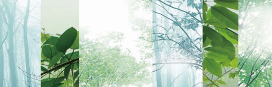 凈入睡眠,賴上Violet生機家紡