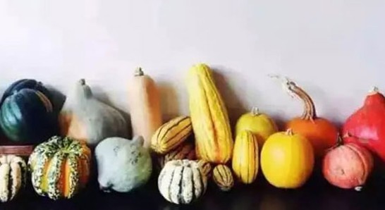 紫羅蘭家紡:不將就的生活,最需純凈