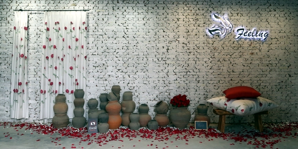 ���`����Ҋ(ji��n)����----FEELINGƷ�ưl(f��)����(hu��)�ڱ��������(gu��)�Hˇ�g(sh��)�@�^(q��)�e��