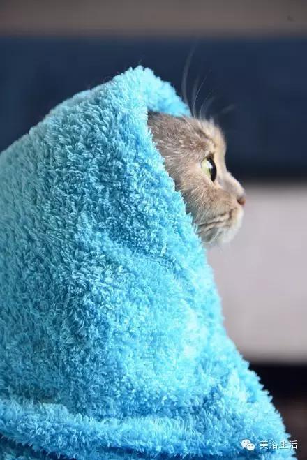 美浴生活:毛巾可以將就,毛巾也可以講究!