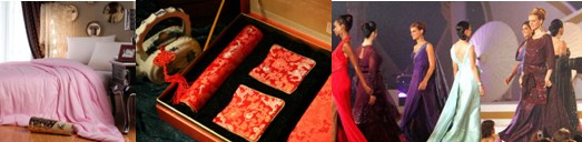 絲博會:沒有大動作,怎敢驚動您