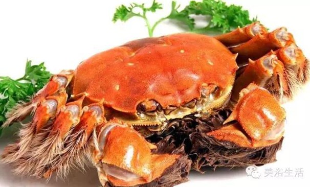 美浴生活:好偉大的大閘蟹!蟹黃可食,蟹券可售,蟹殼可以造毛巾!