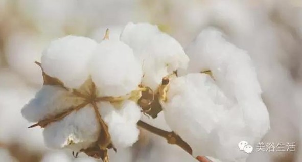 ��ԡ���Փһ�lë�����������B��