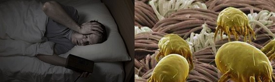 ���z�R�����_�����B���ܼҾ�4.0�r��