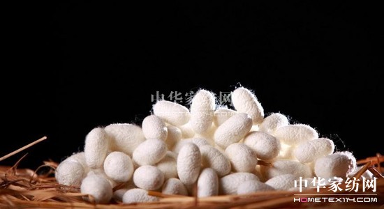 ���z�R�����_�����B���ܼҾ�4.0�r��