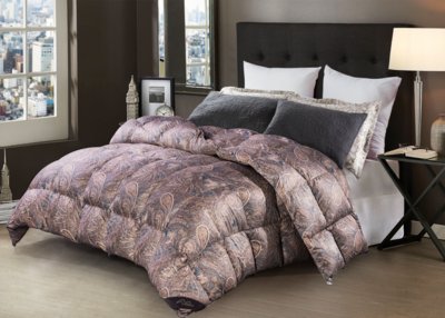 ˮ�ǼҼ����������Z�q��--���ԘO���؅^�ı�ů����