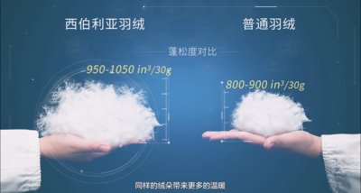 ˮ�ǼҼ����������Z�q��--���ԘO���؅^�ı�ů����