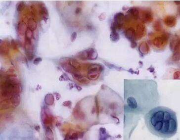 ���ϴ���ӣ��������ךW���M�ھ�ϴ�O���ꑌ�������Ҽ�