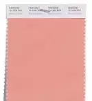 【干貨】香港本色2018流行色發布