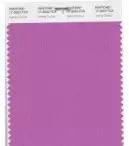 【干貨】香港本色2018流行色發布