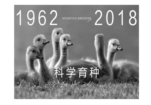 ����Ҽ����m�����q���¾��p�����