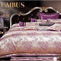 �_����  �Ͻ�