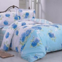 ���z �O������ �z�z���Z